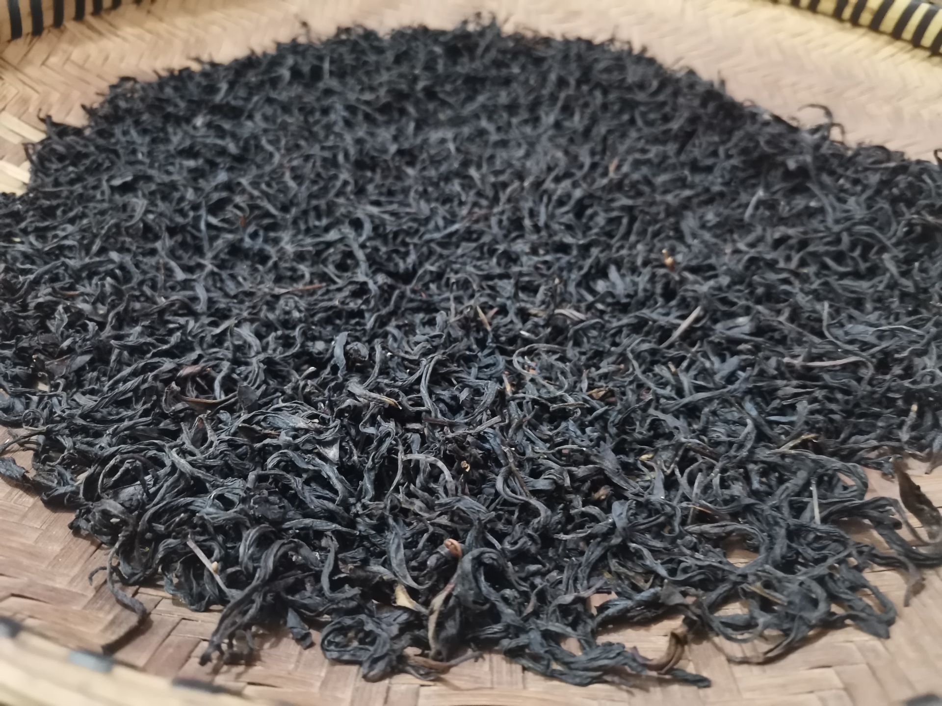 IMG_20210324_175046.jpg IMG_20210324_175046.jpg